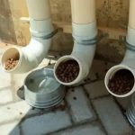 Comedouro inaugurado por Randolfe virou viveiro de larvas