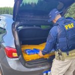 PRF apreende 169 Kg de maconha em Água Clara (MS)