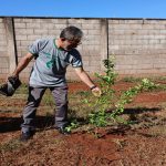 Castilho promove ação ambiental com plantio de mudas nativas no bairro Eldorado