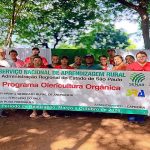 Parcerias de peso fortalecem a produção orgânica em Castilho