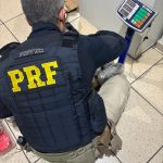 PRF apreende 11 Kg de skunk em Água Clara (MS)