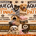 Campanha “Aqueça uma Patinha” mobiliza população em Castilho para ajudar animais no inverno