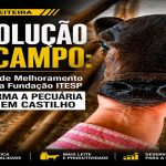 REVOLUÇÃO NO CAMPO: Programa de Melhoramento Genético da Fundação ITESP Transforma a Pecuária Leiteira em Castilho