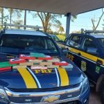 PRF apreende cocaína e medicamentos em Três Lagoas (MS)