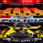 Polícia Militar apreende quase 10 kg de maconha após perseguição em Castilho/SP