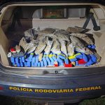 PRF apreende 103 kg de drogas em Três Lagoas/MS