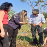 DIA DA ÁRVORE: CASTILHO PLANTA 50 MUDAS E CULTIVA UM FUTURO MAIS VERDE
