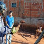 BRIGADA DE CASTILHO RESGATA CASAL DE AVES PRESO EM BURACO APÓS MAIS DE 24 HORAS