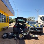 PRF apreende mais de 144 kg de drogas e apreende menor após perseguição na BR-262 em Água Clara (MS)
