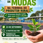 Chegada da Primavera e Semana da Árvore são celebradas com distribuição de mudas na Feira do Produtor